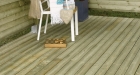 pav_legno (5)_587_385_90